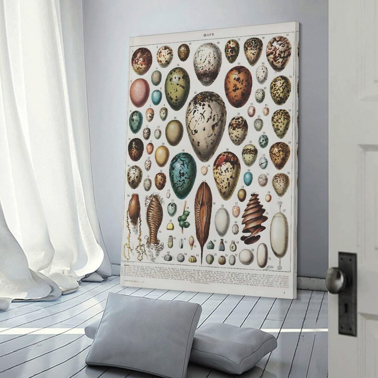 Junmoney Birds Eggs Wall Picture Print 08x12inch(20x30cm), for Lounge Decor, Offices Or Entryway Styling, A Flexible Wall Accent for Shared Spaces