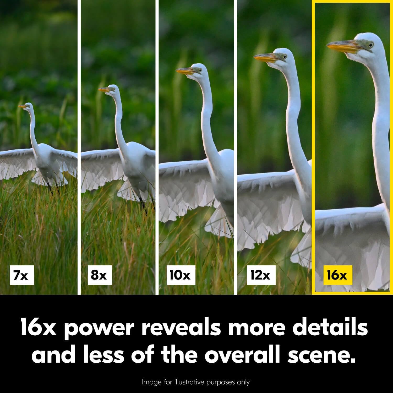 Nikon Action 16x50 Binocular | High-Power Large Objective Binoculars with Multilayer-Coated Nikon Optics, Turn-and-Slide Adjustable eyecups and Tripod-Ready Porro-Prism Design