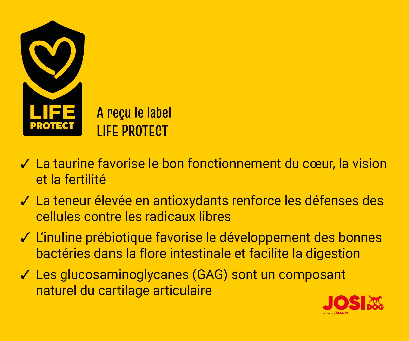 JosiDog Junior Sensitive (3 x 2,7 kg) | Junior | Croquettes Premium pour Chiots en Croissance et sensibles | Nourriture pour Chiots dès 8 semaines | Facile à digérer | Powered by JOSERA | 3 pièces