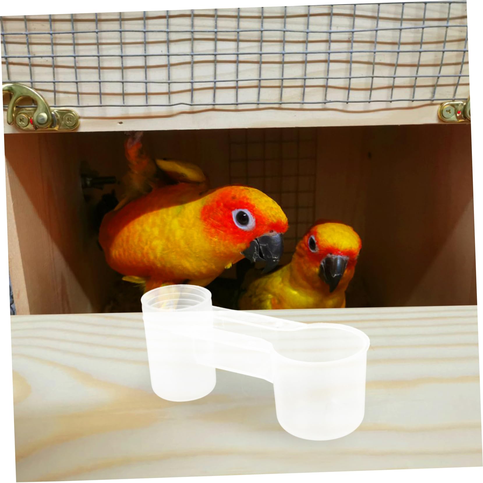 Toyvian 10 Pezzi Bevitore per Uccelli Doppia Uscita Autodrinker in Plastico Bianco, Facile da Pulire, per Piccioni e Pappagalli in Casa o Zoo