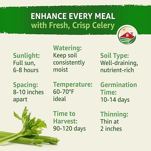 Miniatura 9 de TKE Farms, Semillas de apio para plantar, Utah 52-70, 0.04 oz aproximadamente 2500 semillas, Apium graveolens VAR. Dulce, sin OMG, reliquia,