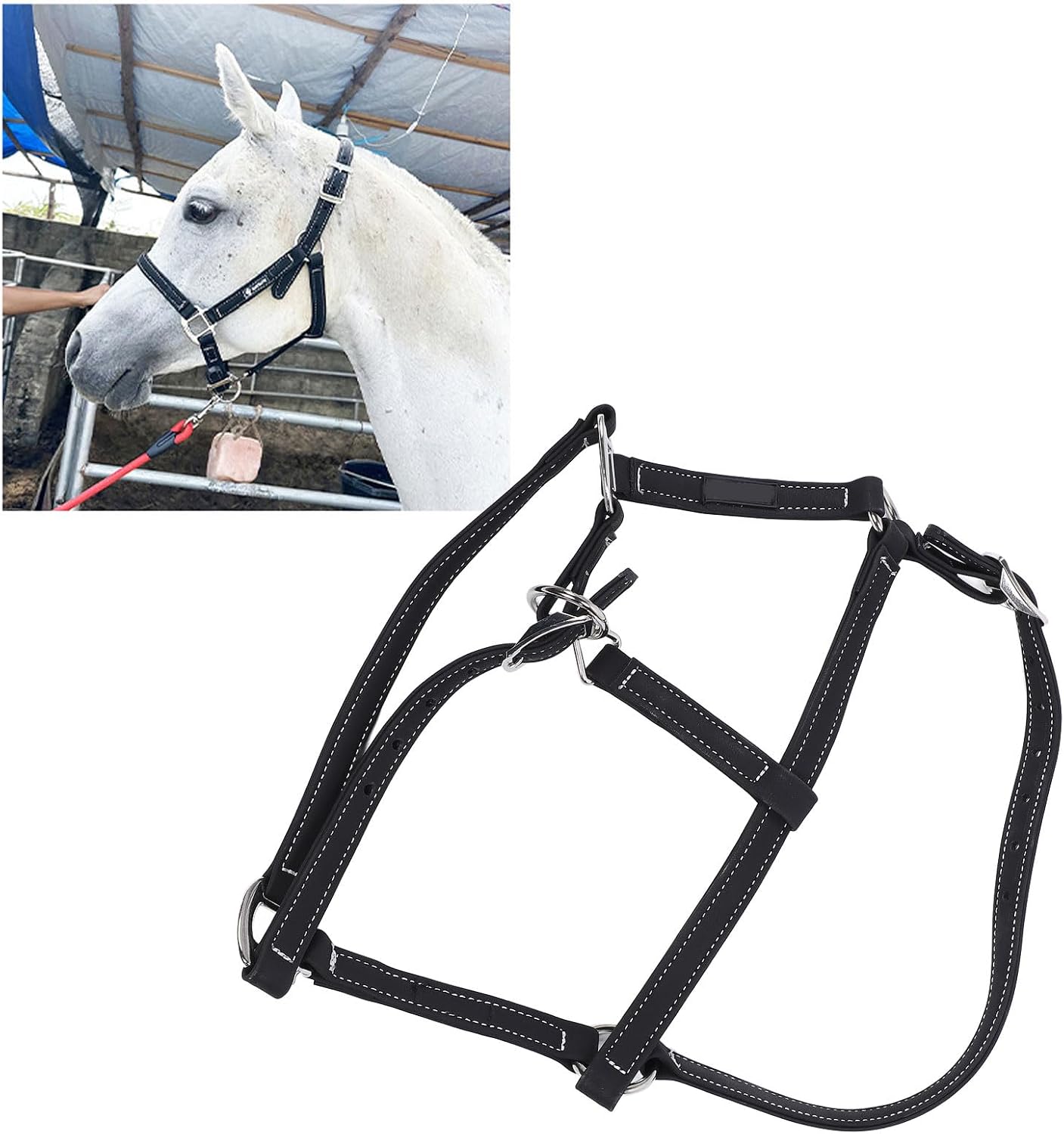 Pilipane Equestrian Bridle Horse Bridle Nylon Adjustable Headstall Harness Accessory for Horse Riding Training Gear (L)