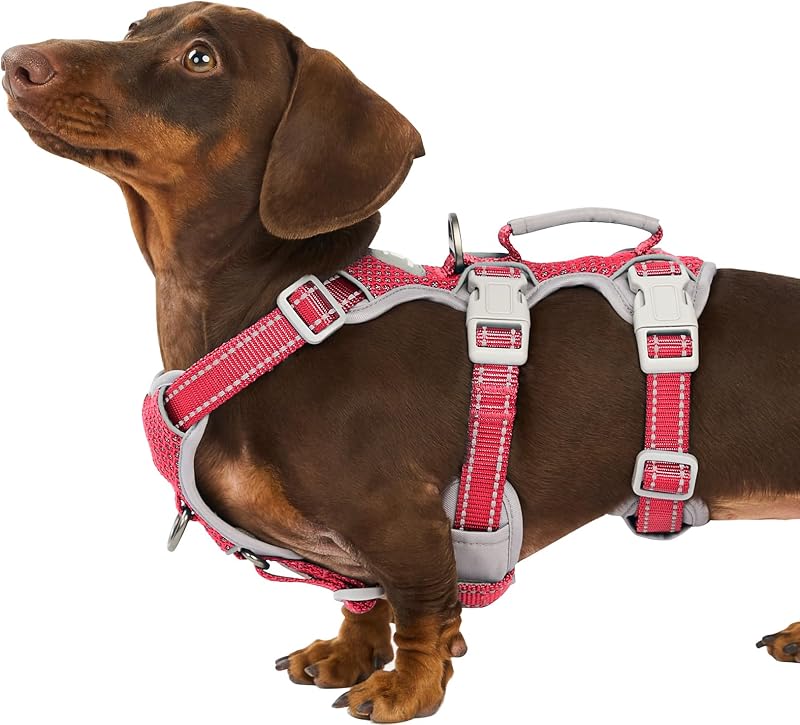 Peitoral Vest para Cães Huntboo HD03-RED-S com Alça Acolchoada, Faixas Refletivas e Ajuste Regulável Vermelho Tamanho S