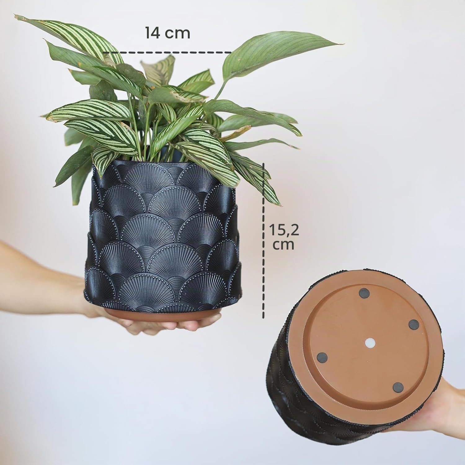 Pearl Schwarz Skala Blumentopf, Bunt Pflanzentopf mit Drainage, Eklektische Niedlichen Kleinen Übertöpfe für Zimmerpflanzen, Regenbogen Lustige Sukkulenten Gartenarbeit Topf Geschenke