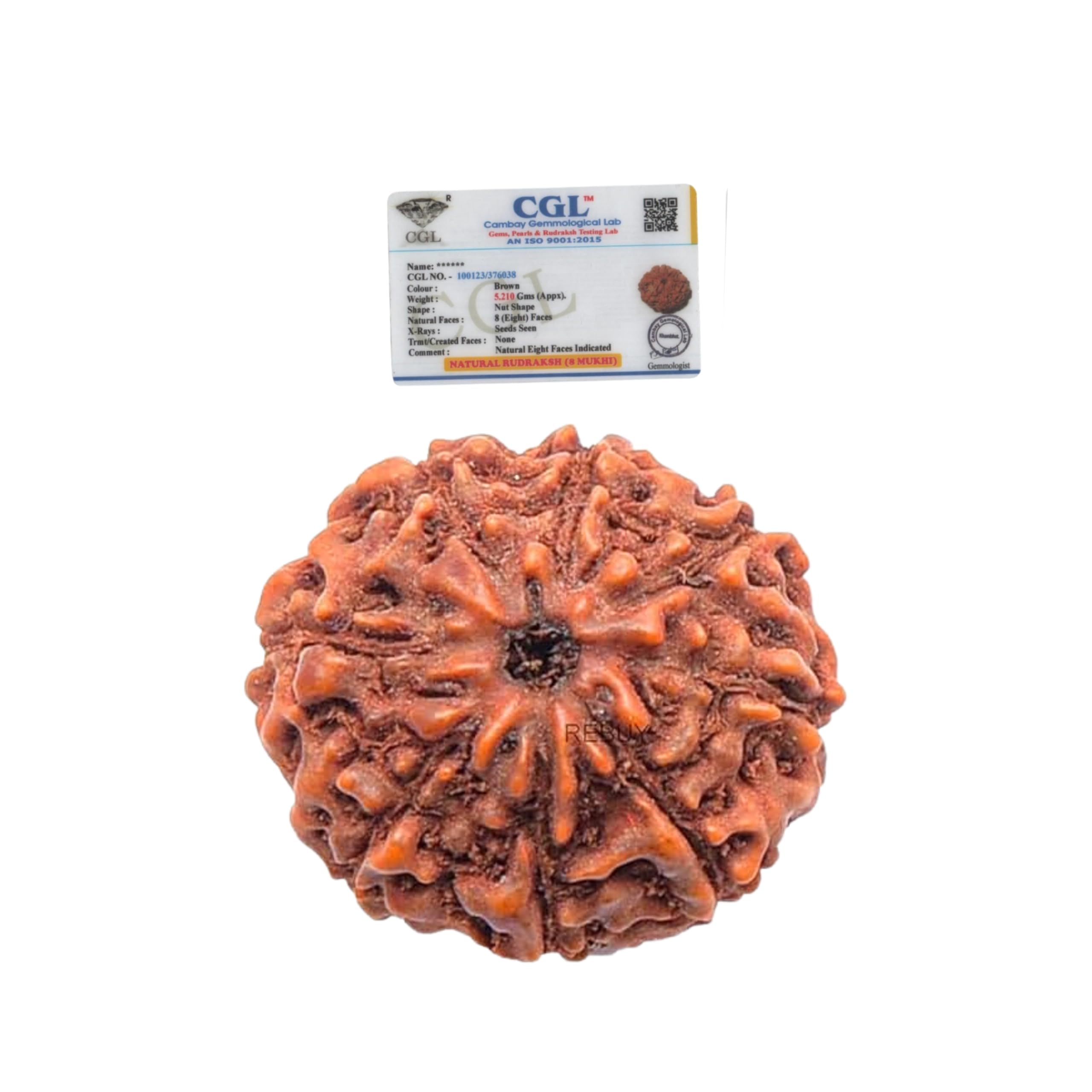 8 Mukhi Rudraksha Bead Indonesian,Java Rudraksha Lab Certified Natural Quality Original Rudraksha Bead for Men & Women, Origin Indonesian, Color Brown, Bead Size 10-15 mm by REBUY-image-16