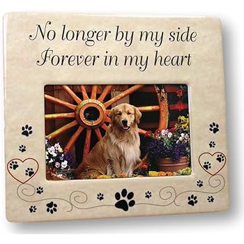 by my side pet memorials