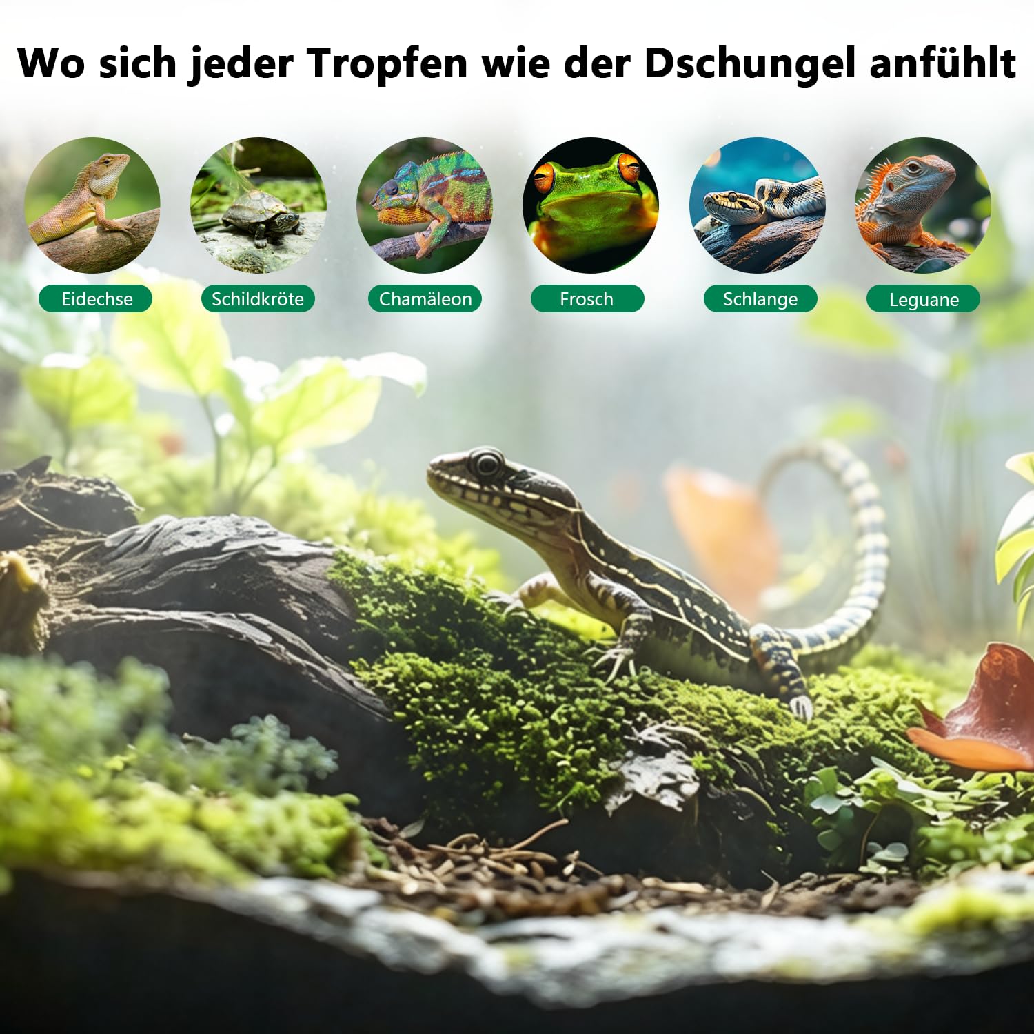 Reptilien Benebelungssystem Terrarium, Intelligentes Reptilien Luftbefeuchter mit Schlauch mit Timer und Sprühdüsen 360 ° Verstellbare, Vernebler Terrarium für Amphibien Pflanzen