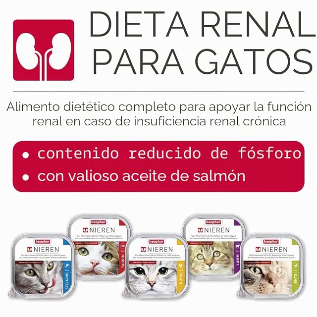 Foto 5 de 5 de Beaphar Rene dieta + lago salmone, 1er Pack (1 X 100 G)