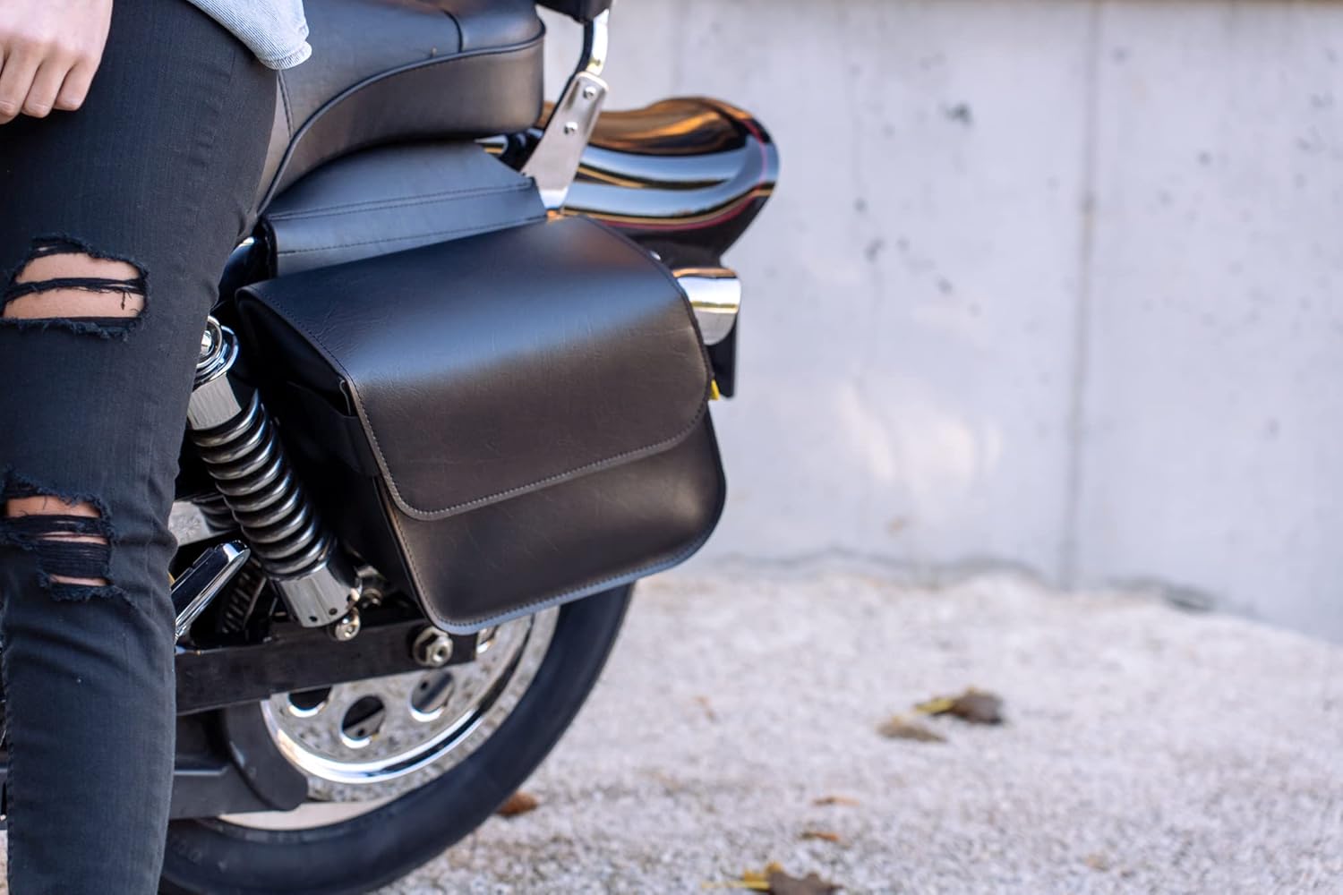 Dowco Willie & Max 58802-00 Raptor Series: Synthetic Leather Standard Slant Motorcycle Saddlebag Set, Black, Universal Fit, 15 Liter Each/30 Liter Total Capacity : Everything Else