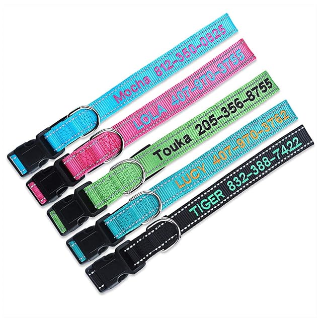 Foto 4 de 5 de Collares de perro personalizados