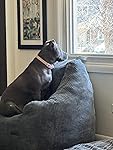 Review Image by k