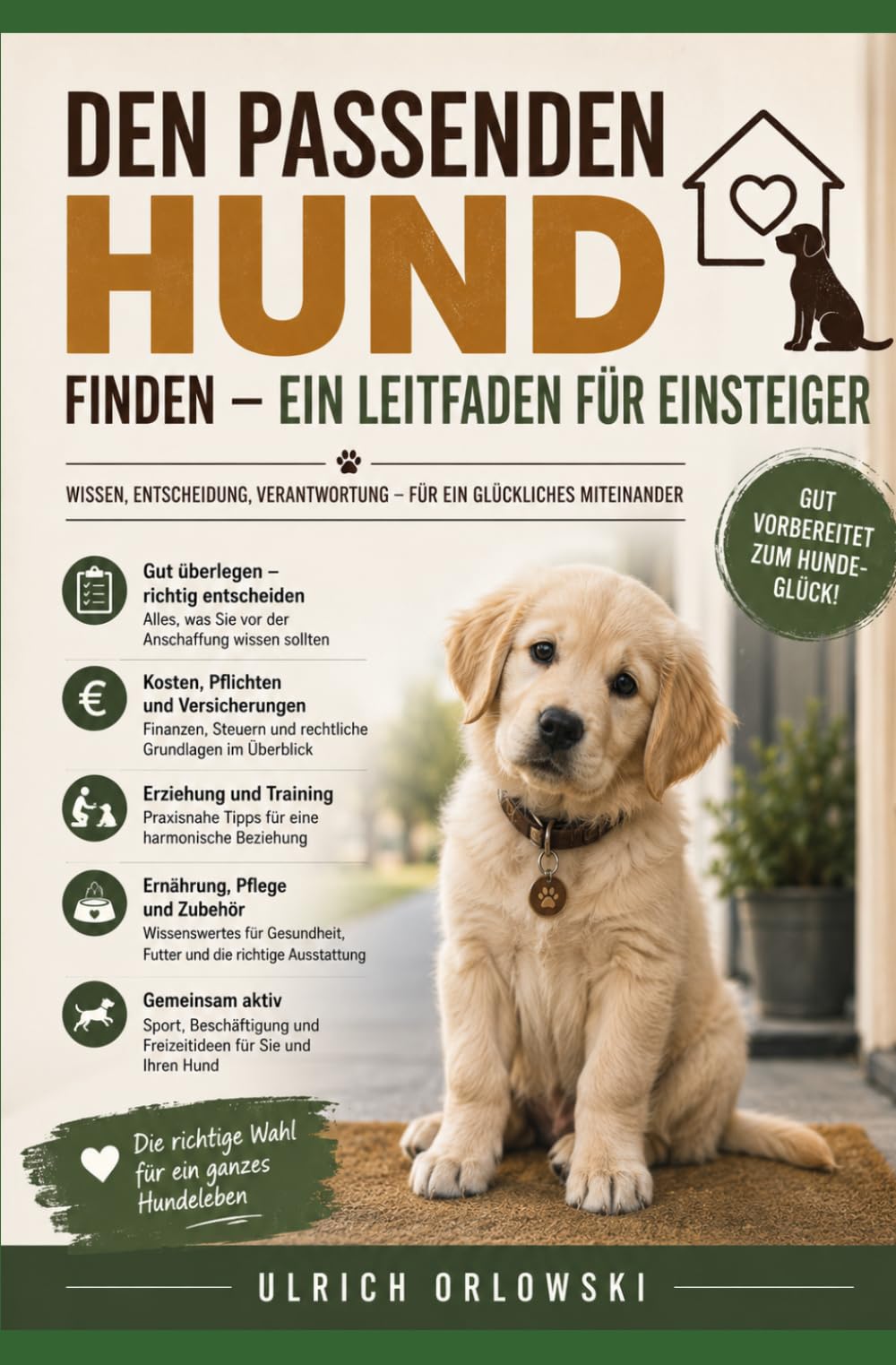 Den passenden Hund finden – Ein Leitfaden für Einsteiger