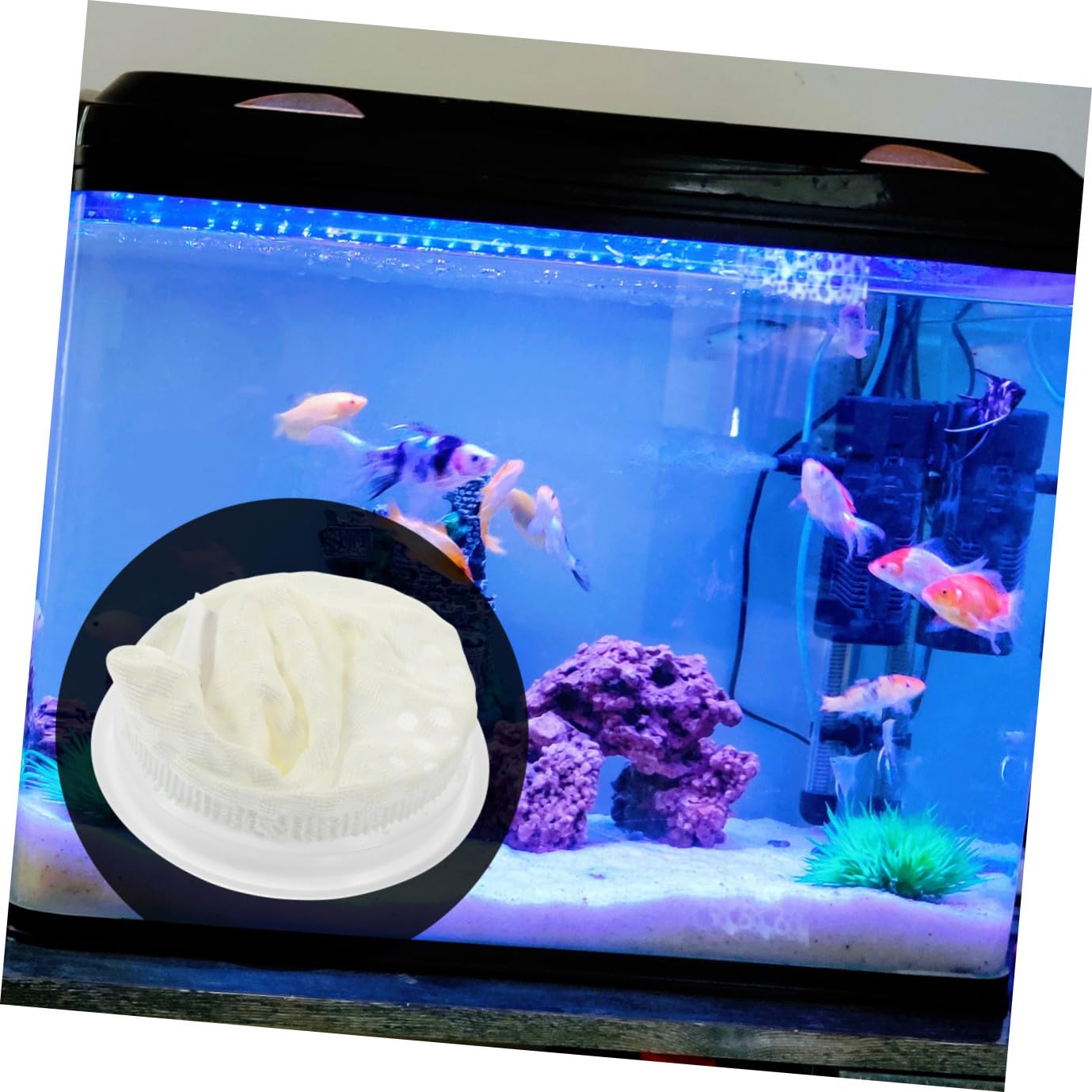 UPKOCH 11piezas Calcetines Filtro para Pecera Filtro De Panal Lavable para Acuario De Diseño De Panal Accesorio De Suministros para Pecera