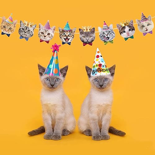 Miniatura 37 de TSJ Cartel de cumpleaños de gato, pancarta de fiesta de cara de gato, decoración de banderines de fiesta temática de gatito para recuerdos de fiesta