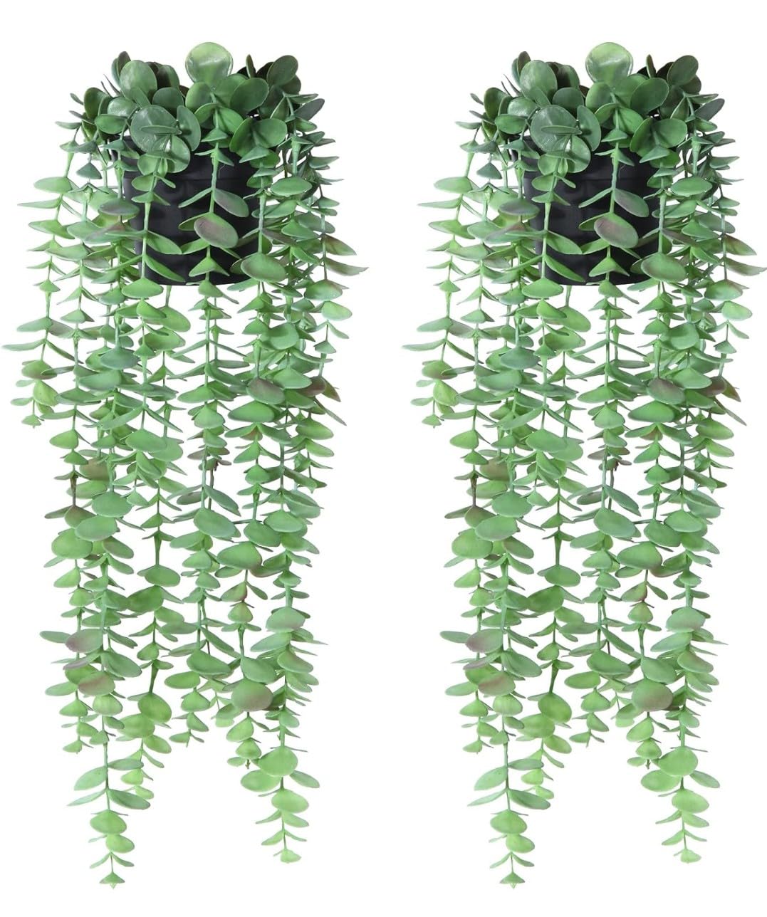 VRB Dec Plastic Tm 1 Pcs Artificial Greenery Ferns Plants Vines Fake Ivy Hanging Flowers With Pot Pine Needle Wall Hanging For Home Decor Door Wall Balcony(Artificial Plants Hanging(Design 3), 1)