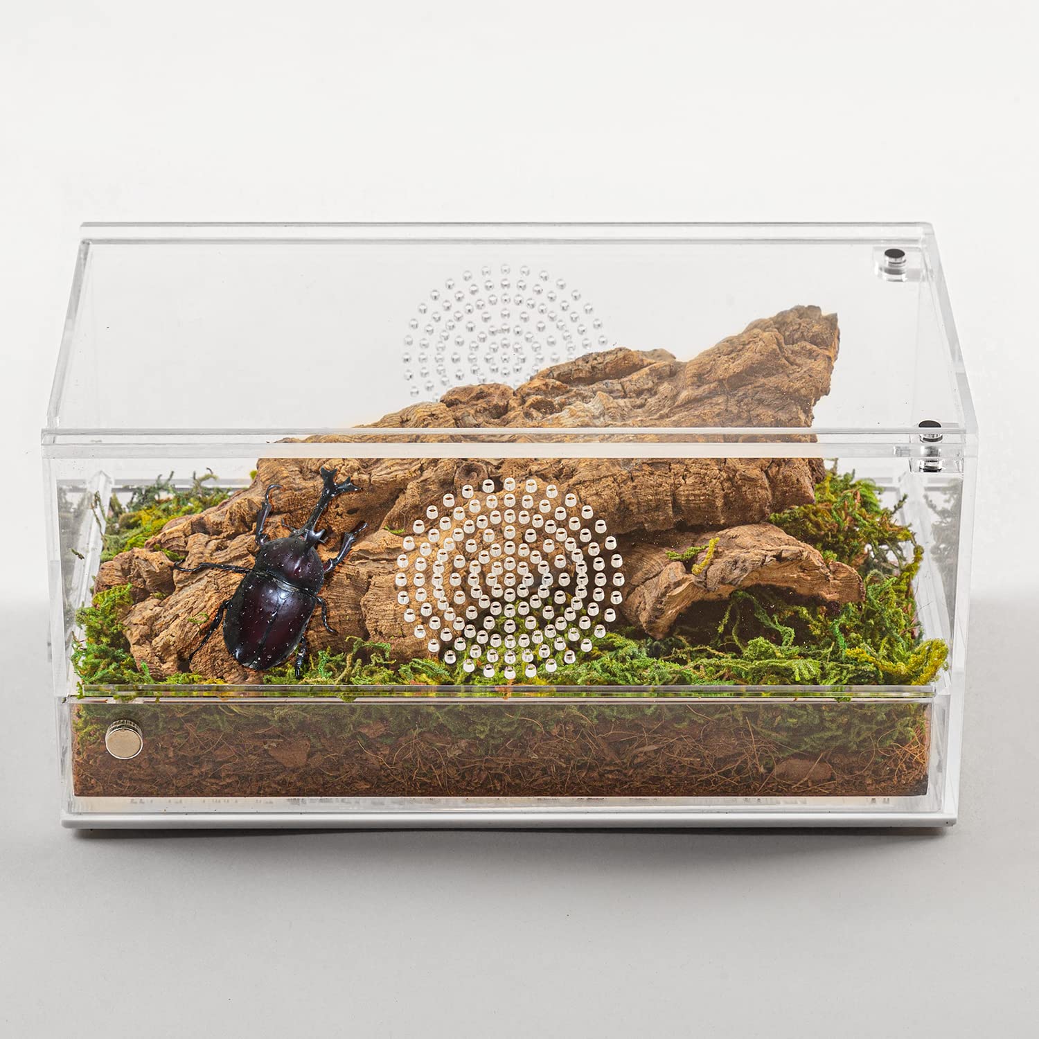 Buy REPTI ZOO Acrylic Reptile Terrarium,Transparent Micro Habitats
