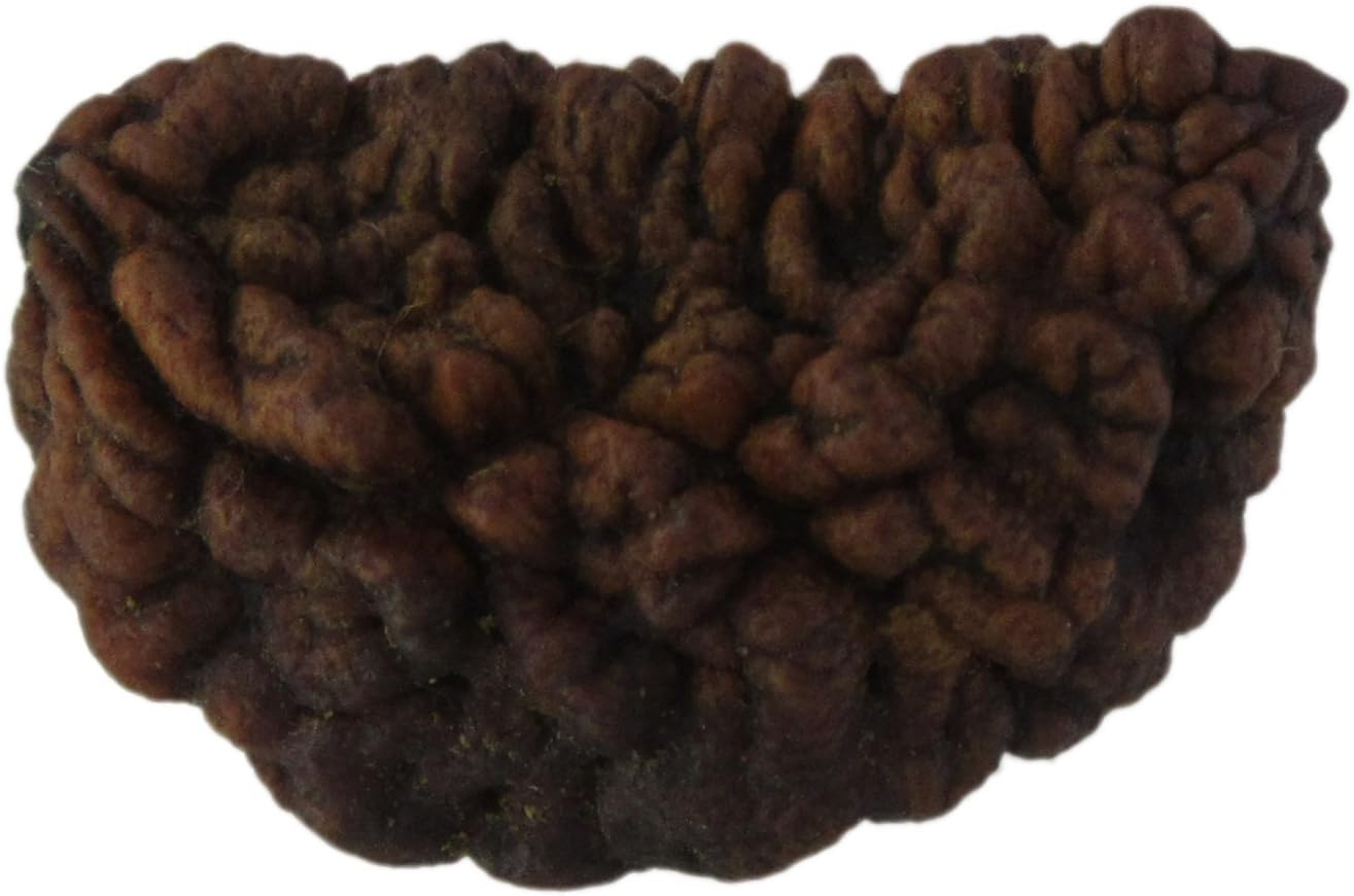mygemsstone Ek(One Mukhi)Mukhi Rudraksha For Money Welth And Health With Igl Certification