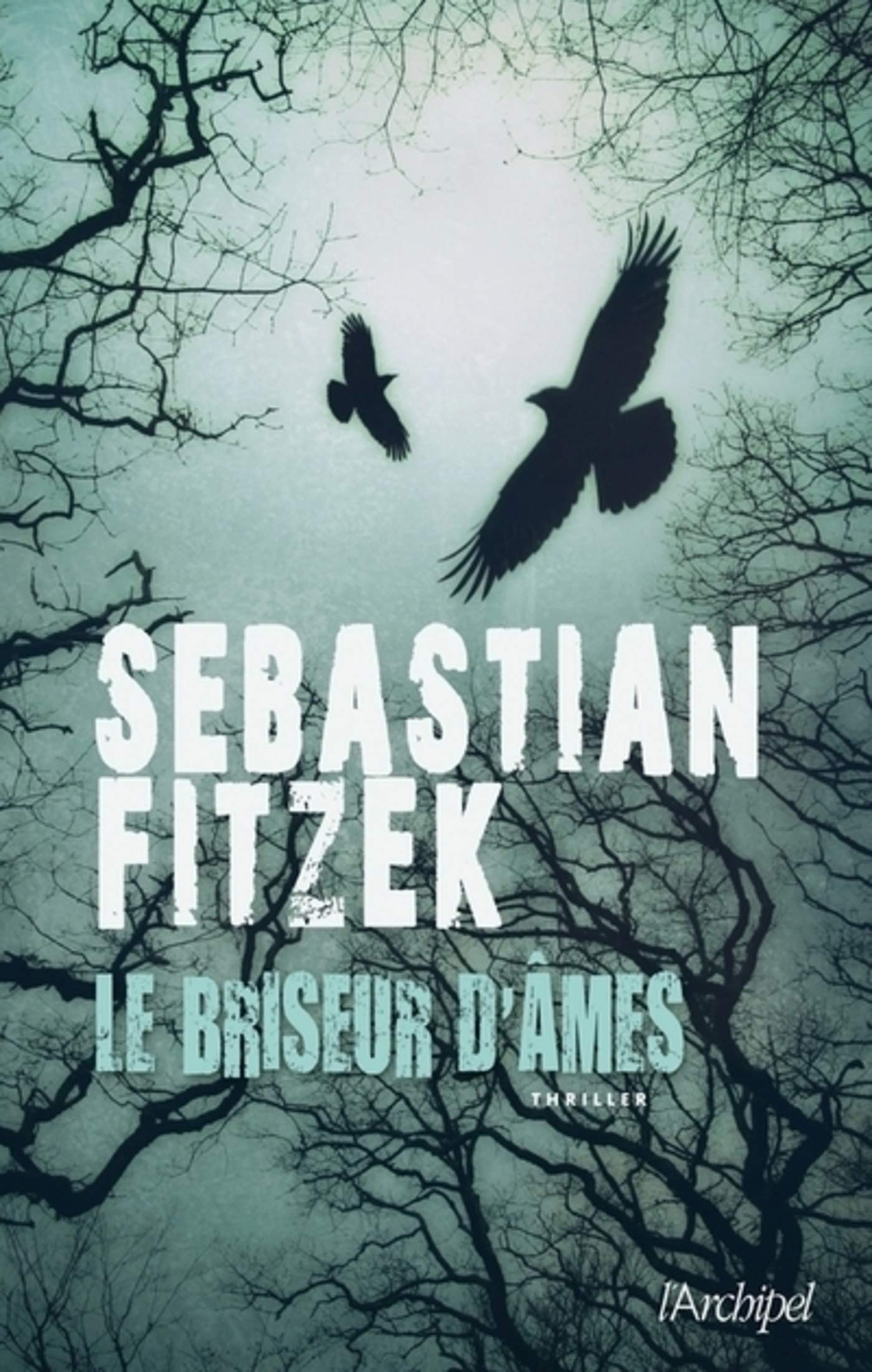 Le Briseur D'âmes (Suspense) (French Edition)