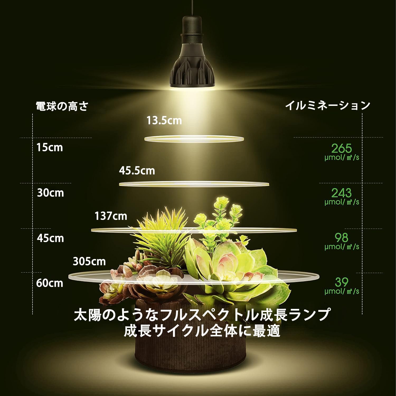 Amazon | 植物育成ライト LED 30W 5800K 白色系 高PPFD 高力率 高演色