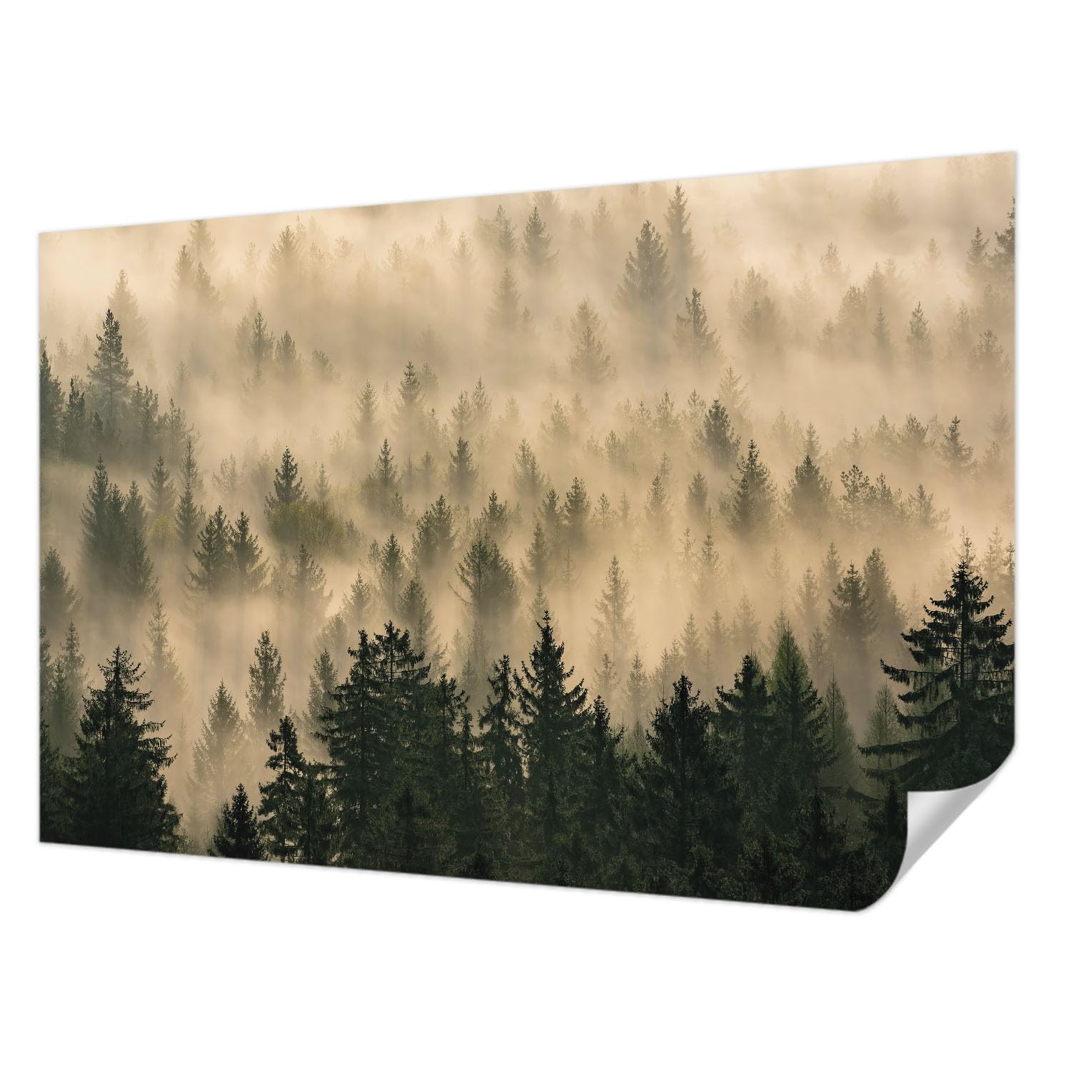 Papier peint adhésif haute qualité Tulup 104x70 motif forêt brumeuse design premium