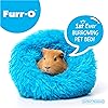 Product Photo 2