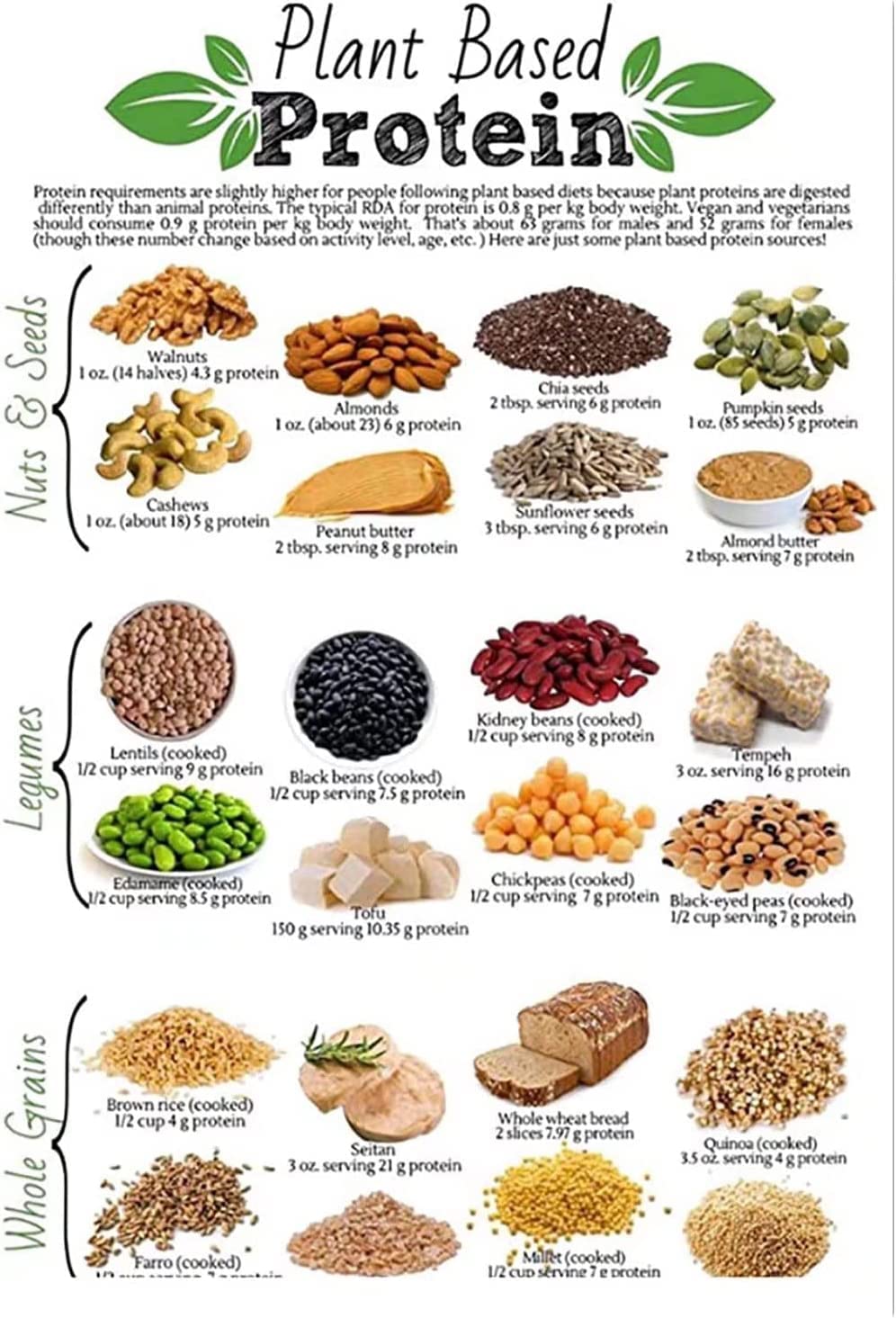 Oudrspo Plant Based Protein Infographics Metal Tin Signs Nutritionist Knowledge Posters Office Reference Guide Plaques Kitchen Studio Home Wall Art Decor 8X12inch