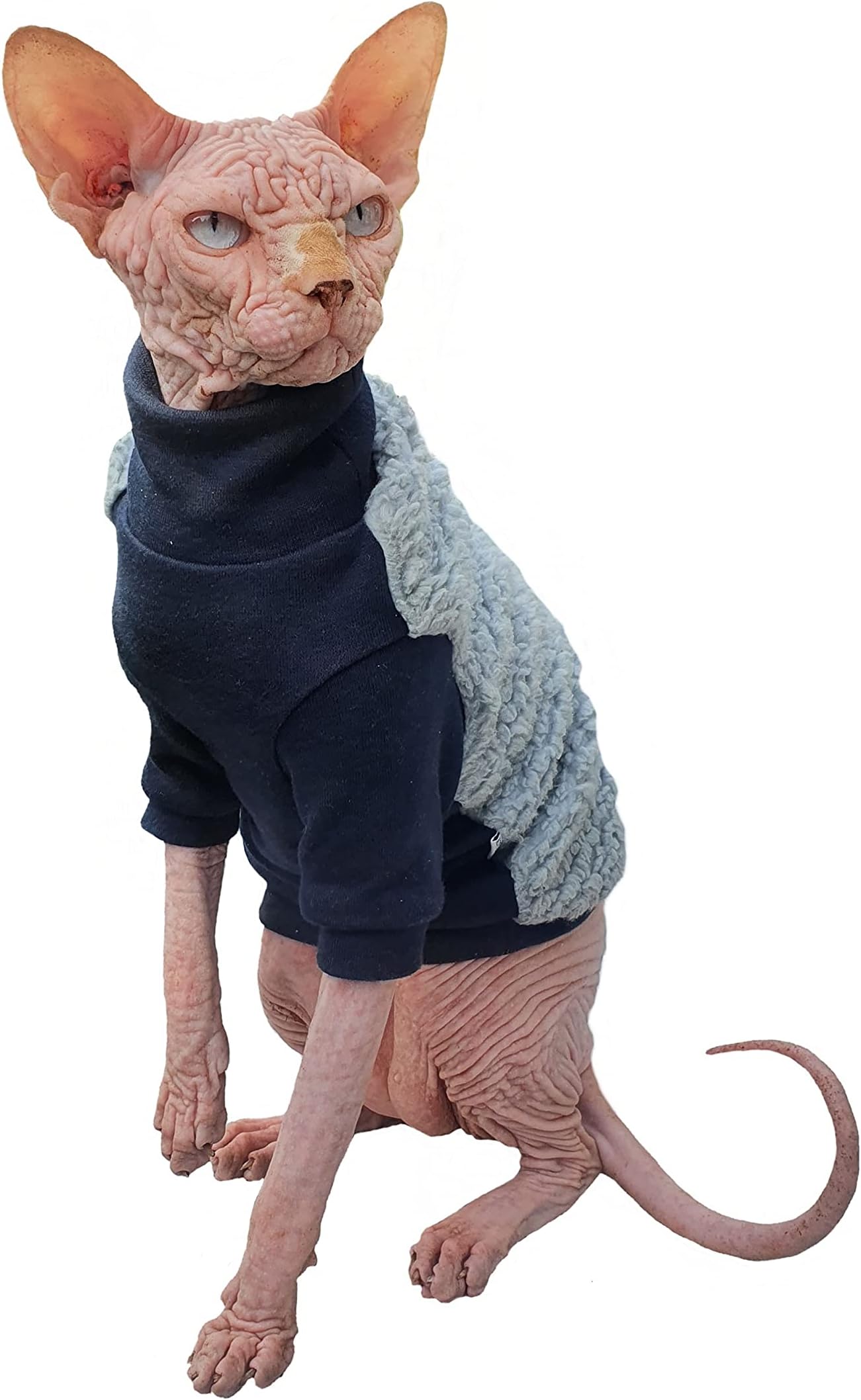 KotomodaKotomoda Cat's sweater Winter sweater Sport chic for Sphynx and naked cats (Small)