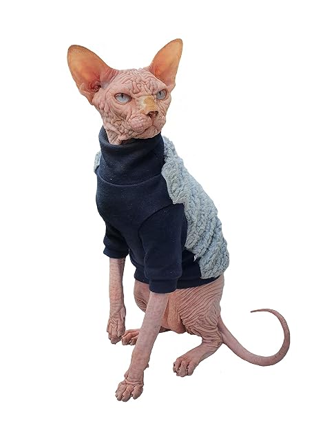 Ropa Gato Jersey Sphynx Gatito Sport Chic Cálido Sin Pelo Invierno Pet (XS)