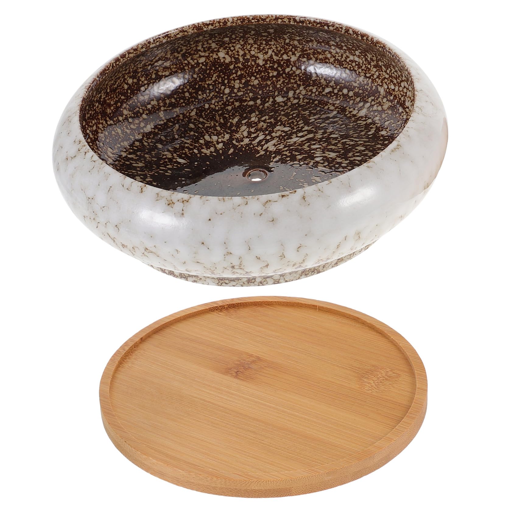 Pot à succulentes céramique avec plateau pour petit cactus et plante grasse d'étagère