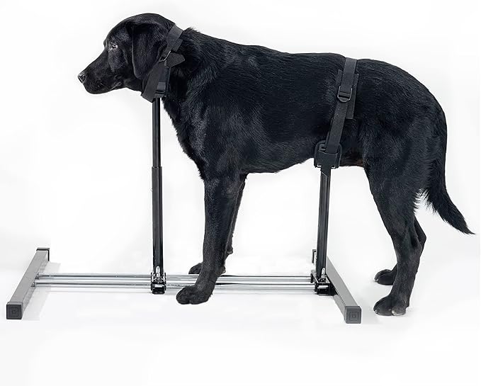 HQSLC Dog Breeding Stand,Stainless Steel Dog Grooming