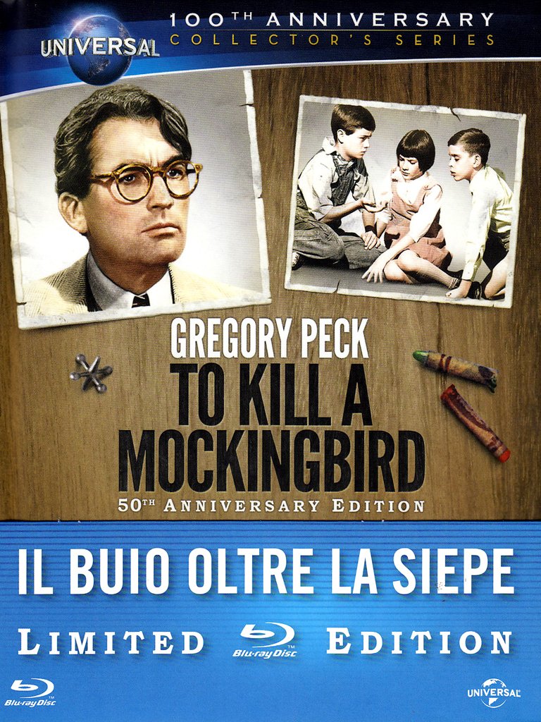 Il Buio Oltre La Siepe Trama Libro