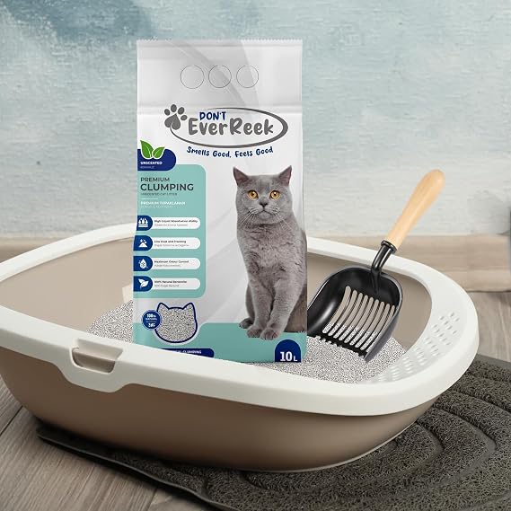 Ever Reek Cat Litter (No Smell, 10 Liters)