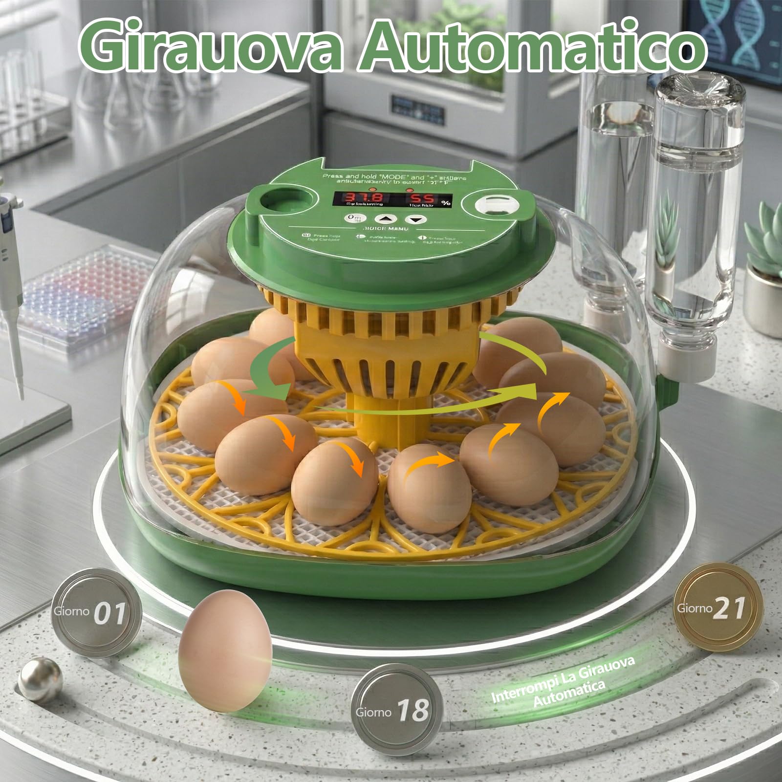 Incubatrice per Uova Automatica, Diealles Shine Incubatrice per Uova 12 con Tornitura Automatica delle Uova e Umidificazione Automatica, Incubators con Controllo della Temperatura