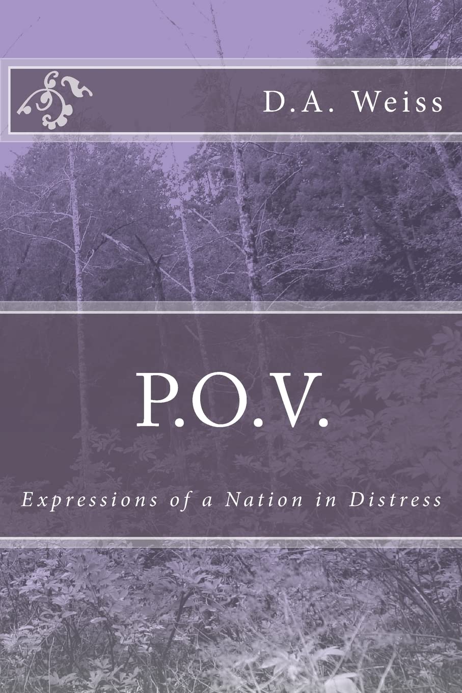 P.O.V. Paperback – Big Book, 29 January 2012