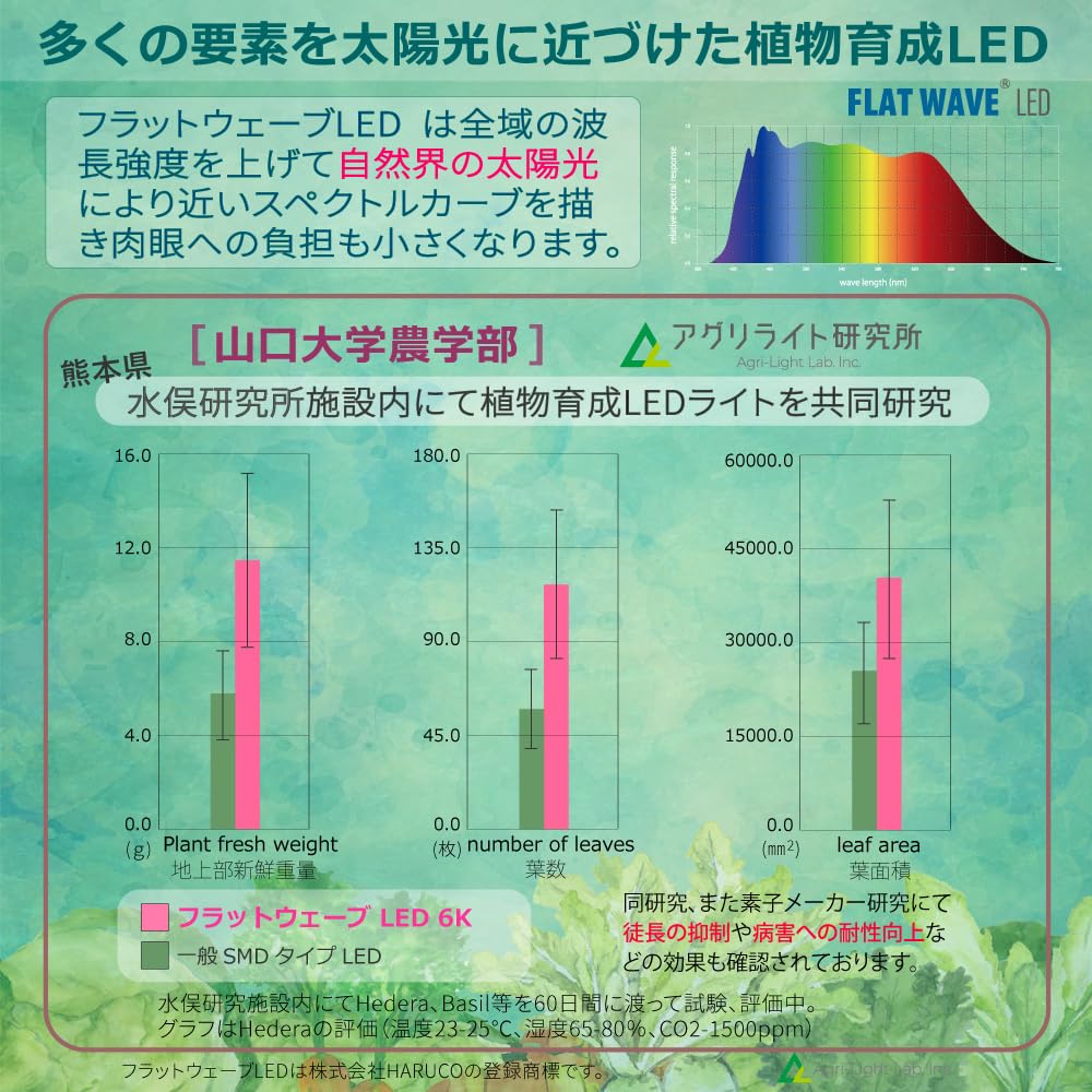 Amazon.co.jp: HaruDesign 植物育成ライト HASU38 6K ホワイトボディ