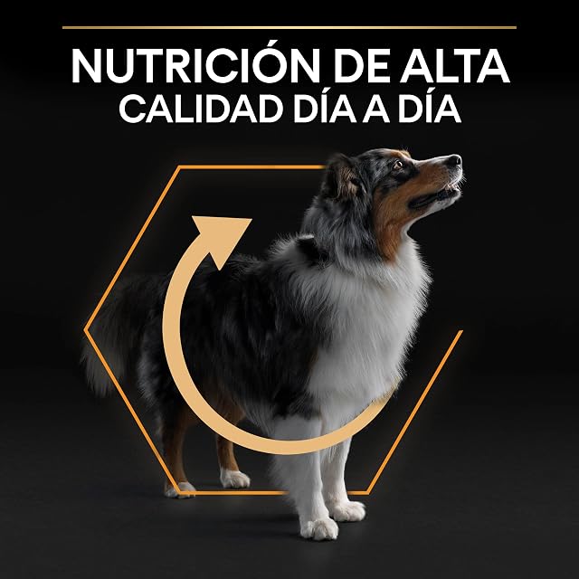 Foto 8 de 8 de Pro Plan Medium pienso perro Adulto B 4x3 kg