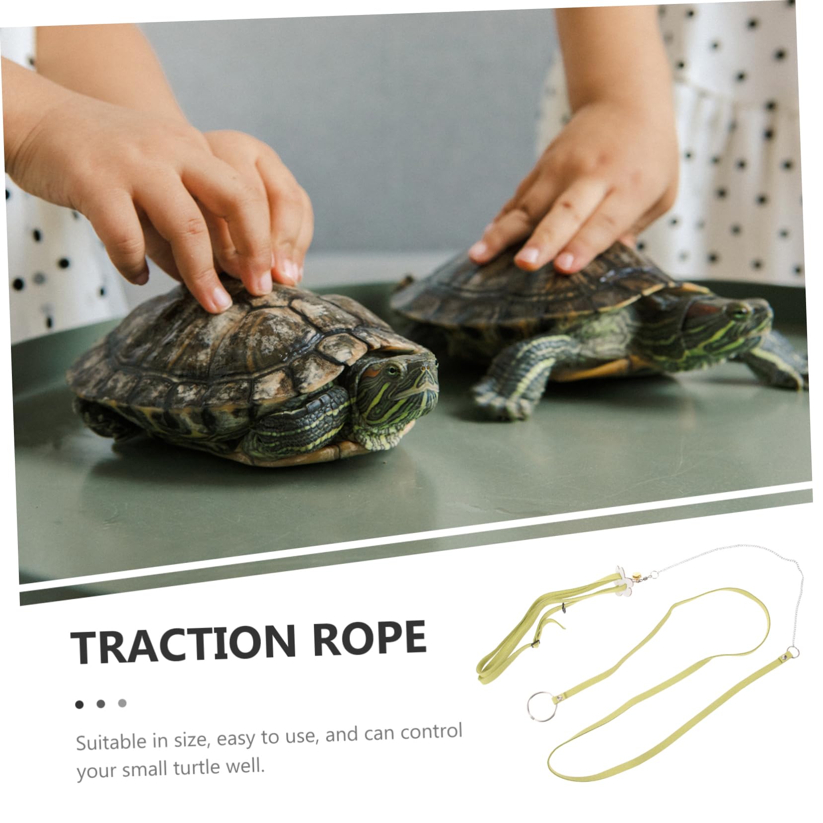 BESPORTBLE Adjustable Tortoise Traction Harness Tortoise Walking Leash Pet Tortoise Hauling Rope Turtle Harness Replacement Control Rope for Small Animals