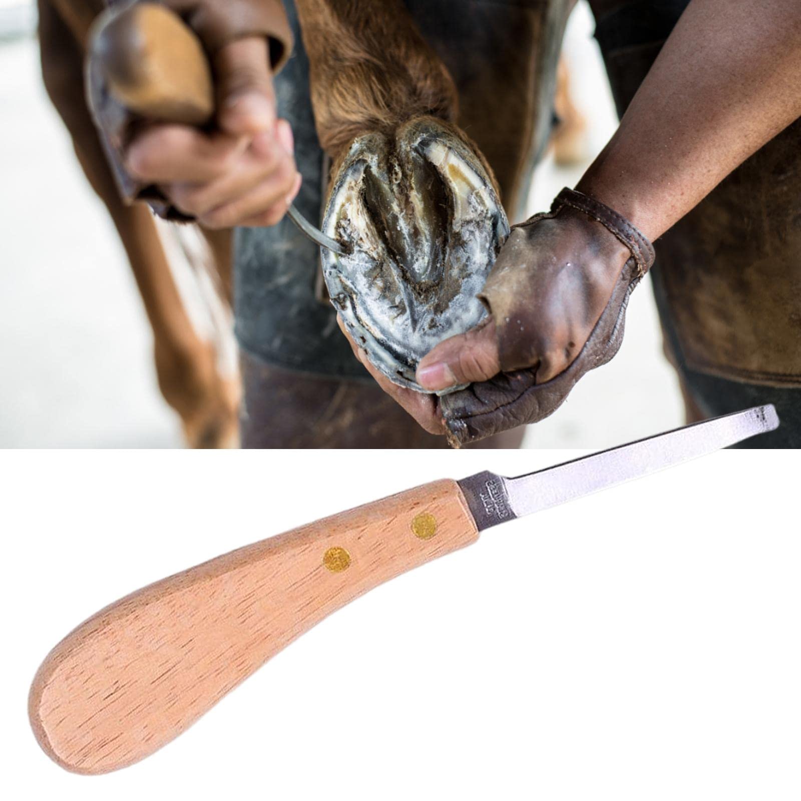 RNXRZANK Hoof Trimming Tool for Cattle and Livestock Care, Right Hand