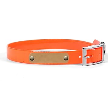 Personalized Waterproof Dog Collar with Name Plate for Large Dogs (Size #23) (Safety Orange, Brass Nameplate)