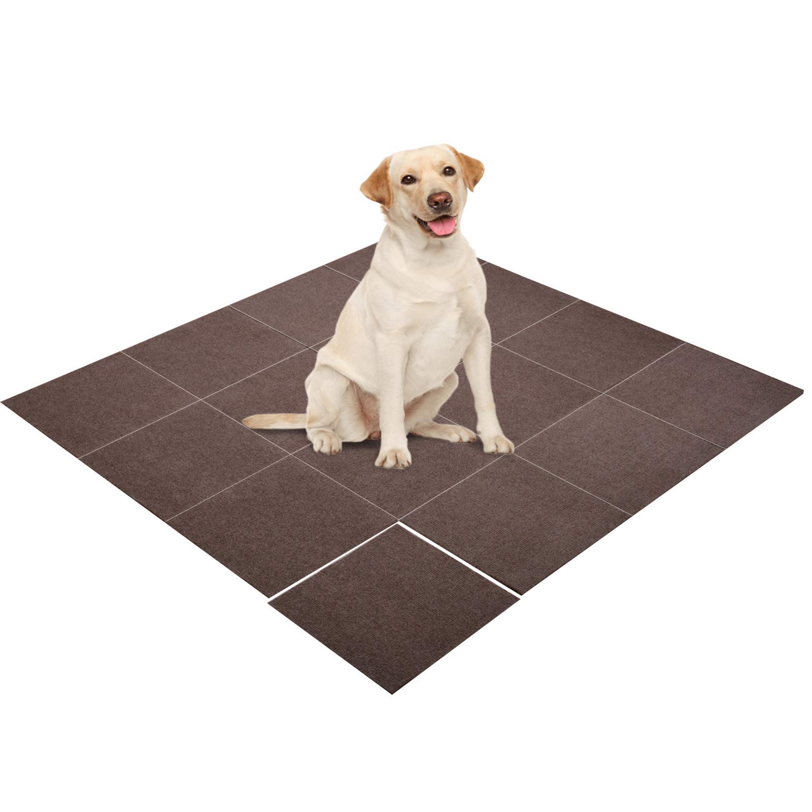 How Do You Stop A Dog From Slipping On Tile