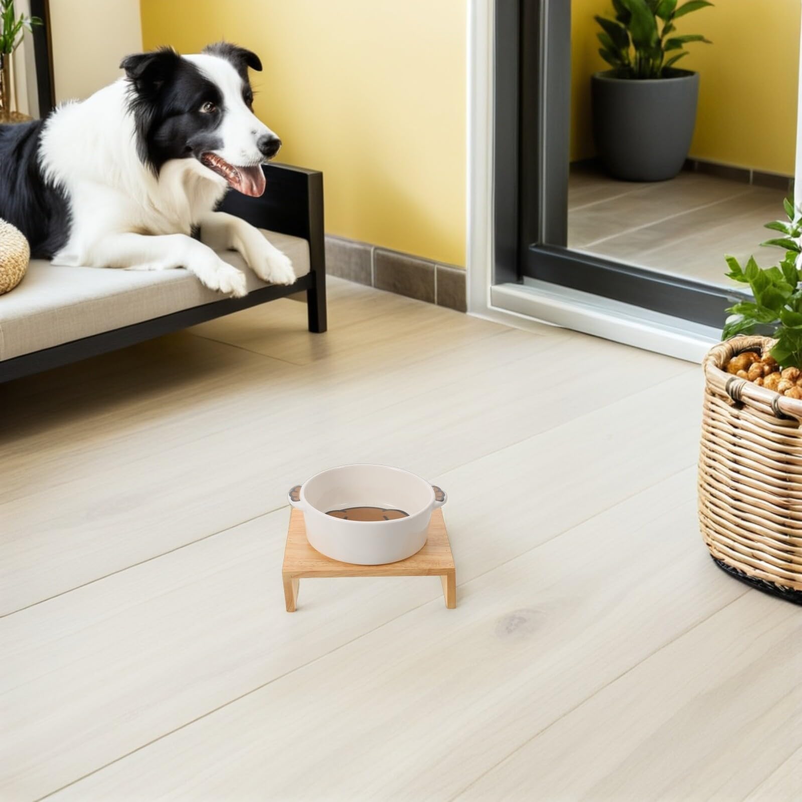 ORFOFE Ceramiczna dla Psa z Podwójnymi Uszami Drewnianej Podstawie Podwyższona i Antyrozlewna Idealna dla Małych Psów i Kotów Łatwa Do Czyszczenia Odporna Pęknięcia i Plamy