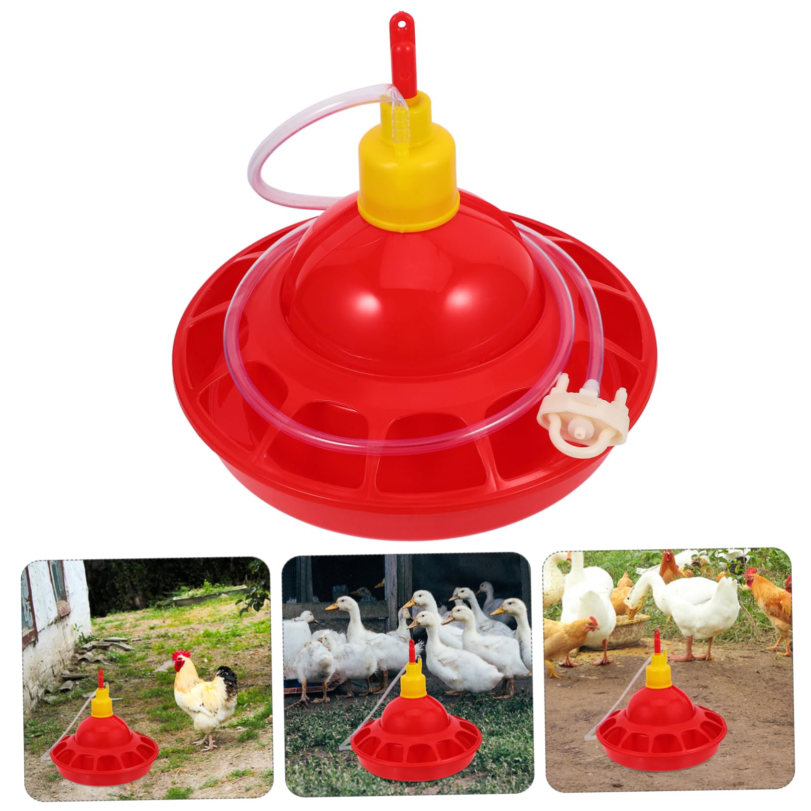 Abbeveratoio per Polli Rosso in Pp, Design Arrotondato | Uccelli e Pet Birds, Uso in Pet Shop e Zoo, Facile da Pulire, Struttura Robusta