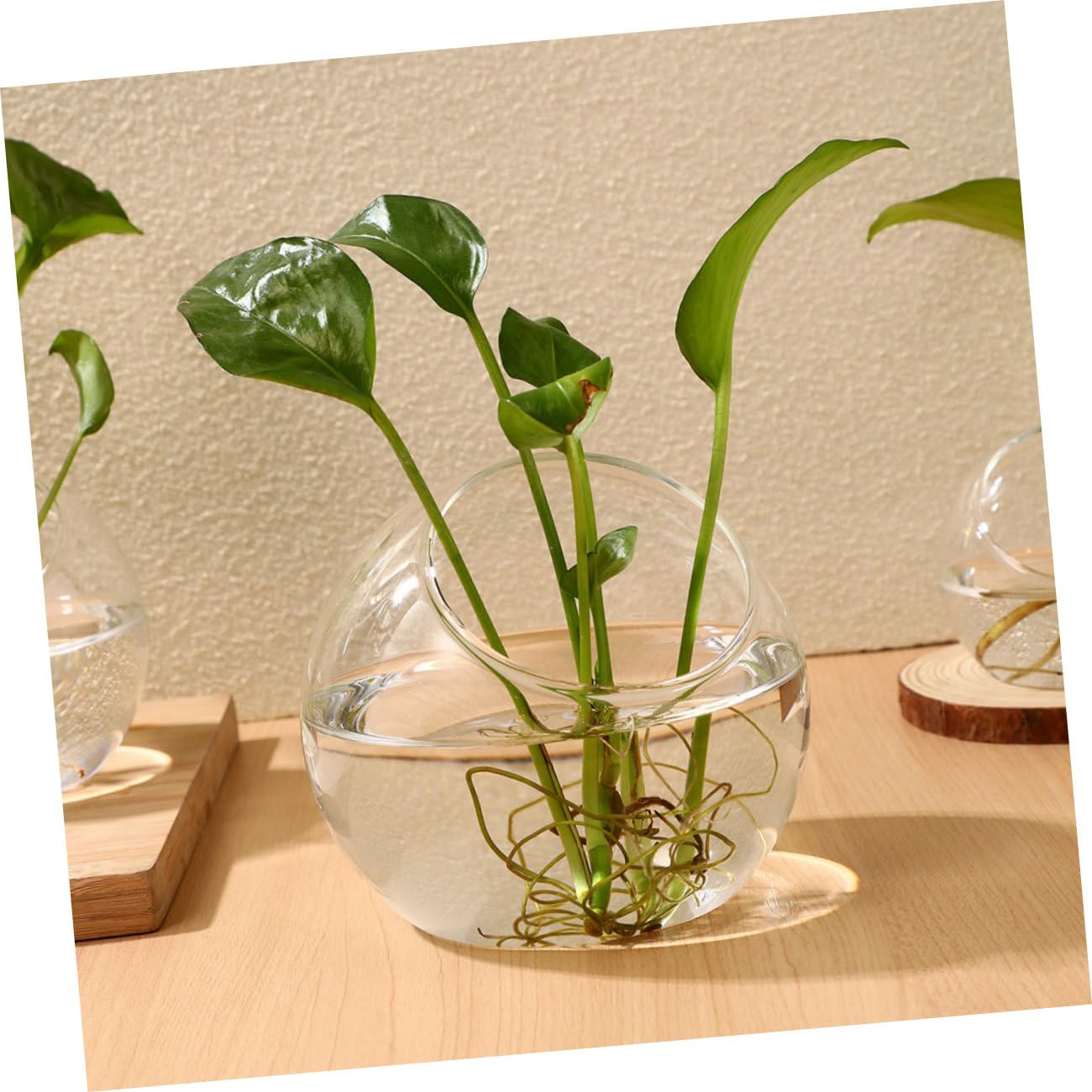 TOYANDONA Set 3 Pezzi Terrario di Vetro per Piante Grasse, Bottiglia Ecologica Trasparente Design Artistico, Contenitore per Micro Paesaggio e Decorazione Fai da Te per Interni