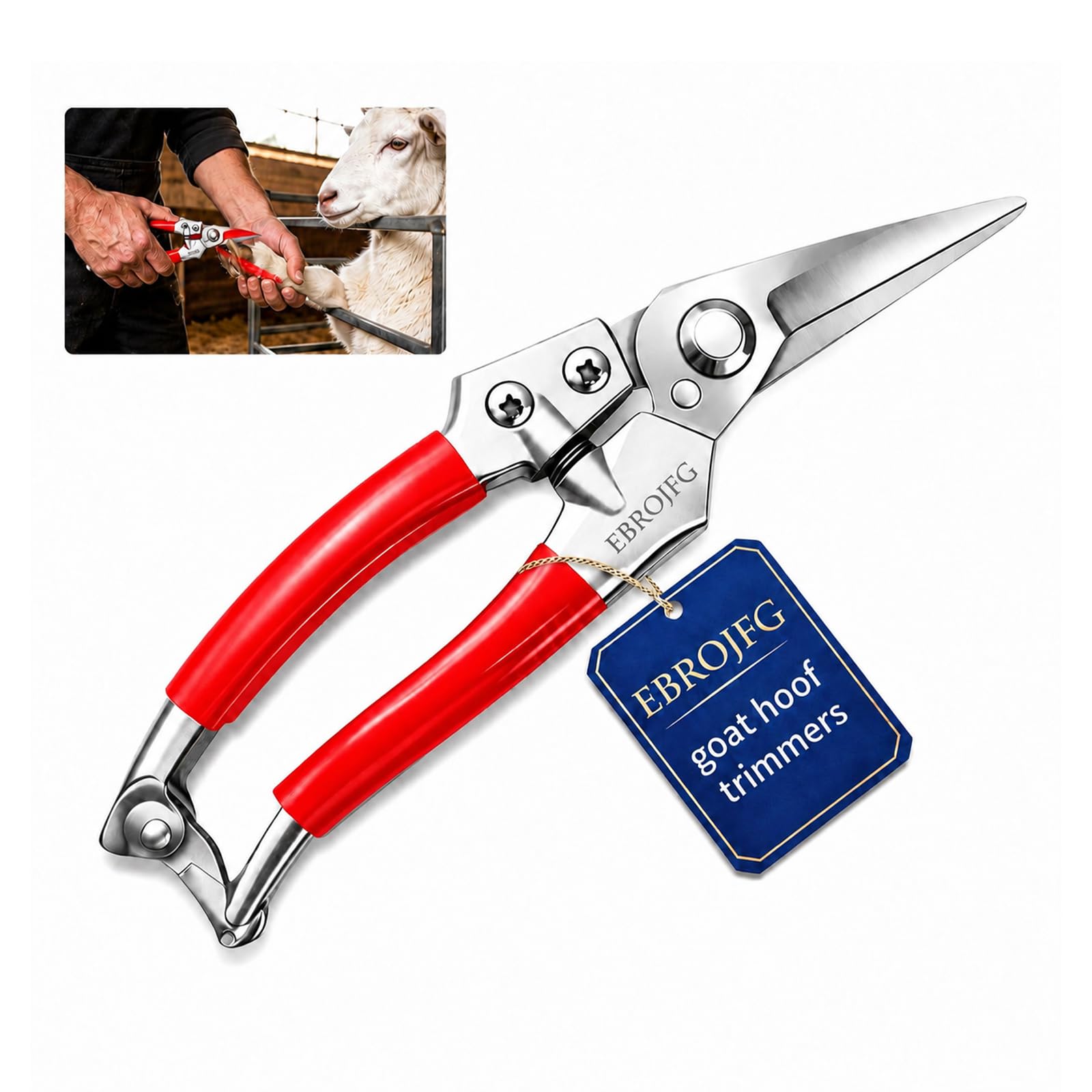 Goat Hoof Trimmers Sheep Shears Kit and Farrier Shears pruning shears