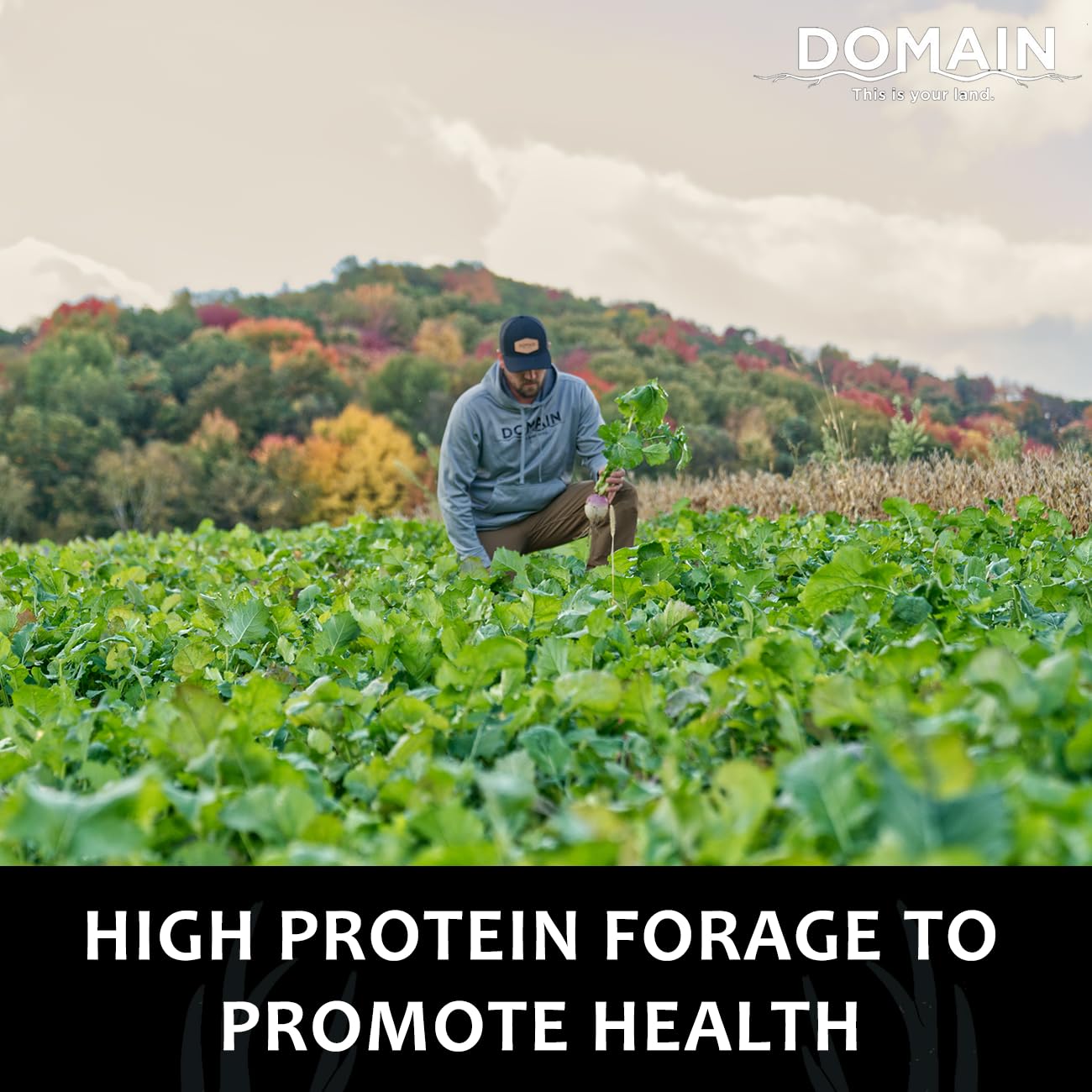 Evolved Habitats Deer Cane Attractant, Liquid, 1-Gal.