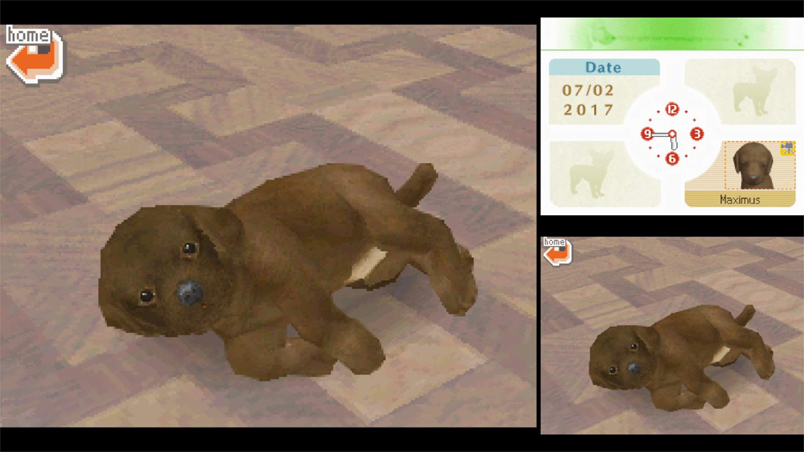 Nintendogs Labrador Retriever DS Lite DSi Game NEW PAL by Digibuys