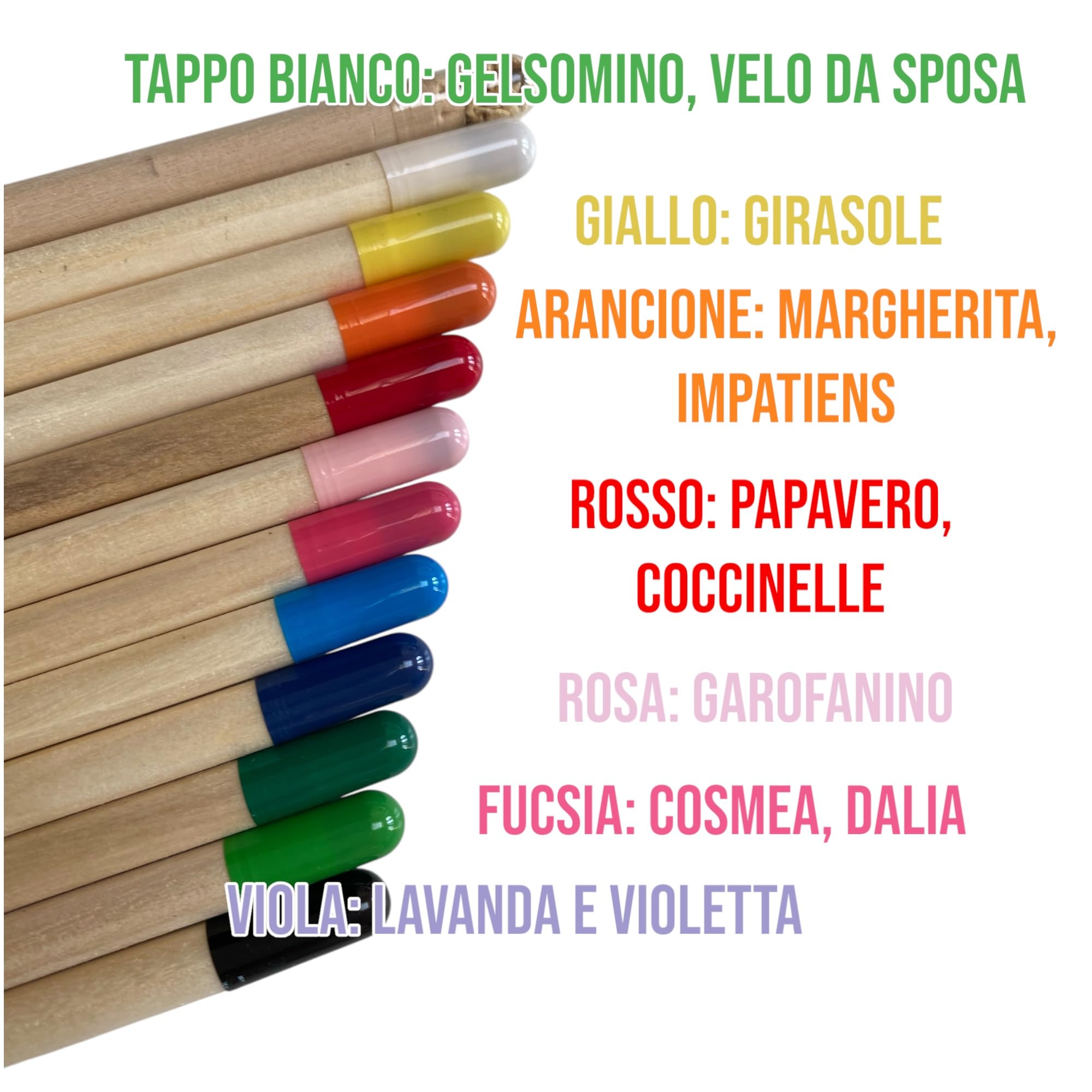 Generico VALUE PACK MATITE PIANTABILI - SENZA CARTONCINO (50 PEZZI non ti scordar di me)
