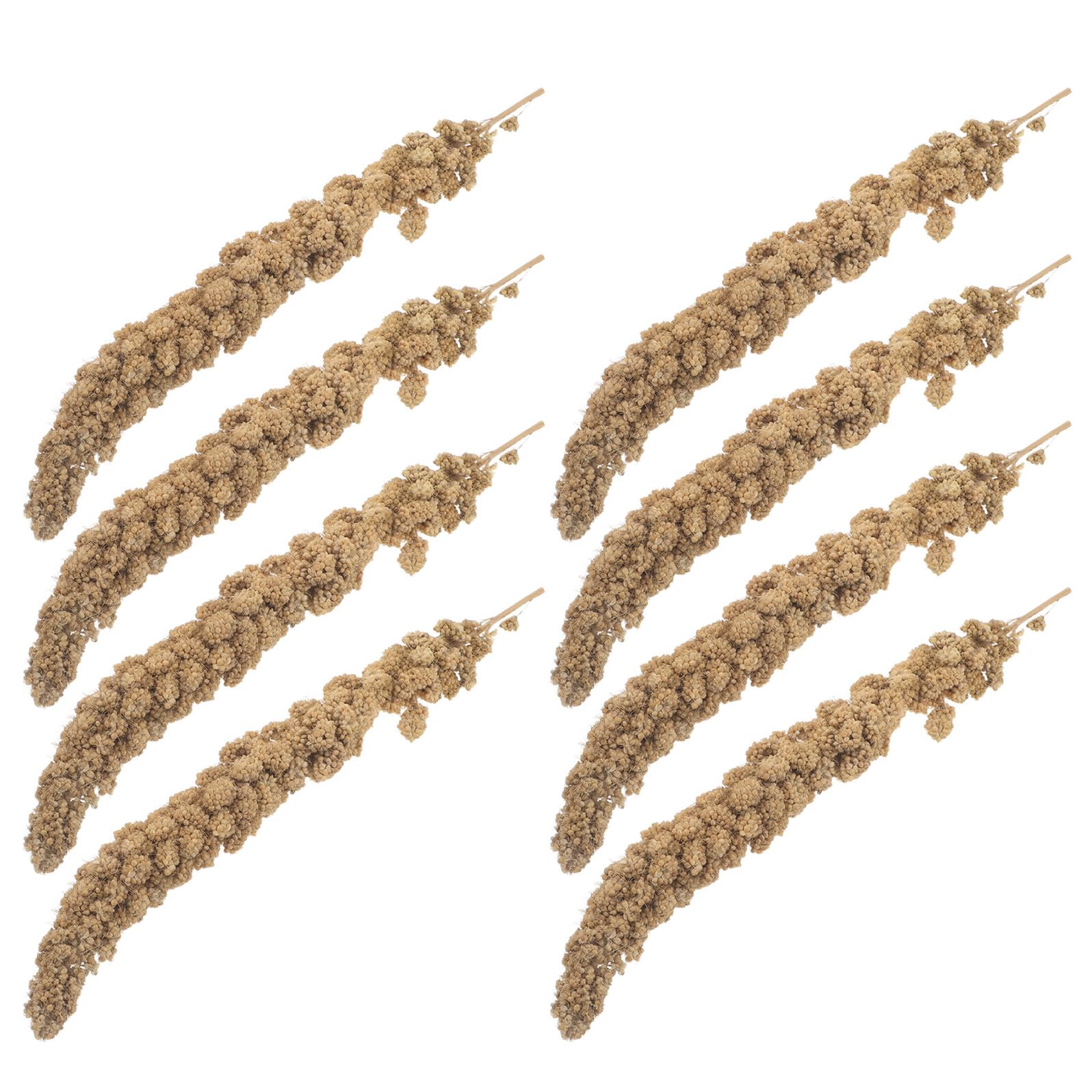 Hirse Vogelleckerli für Wellensittiche 500g Natürliche Millet
