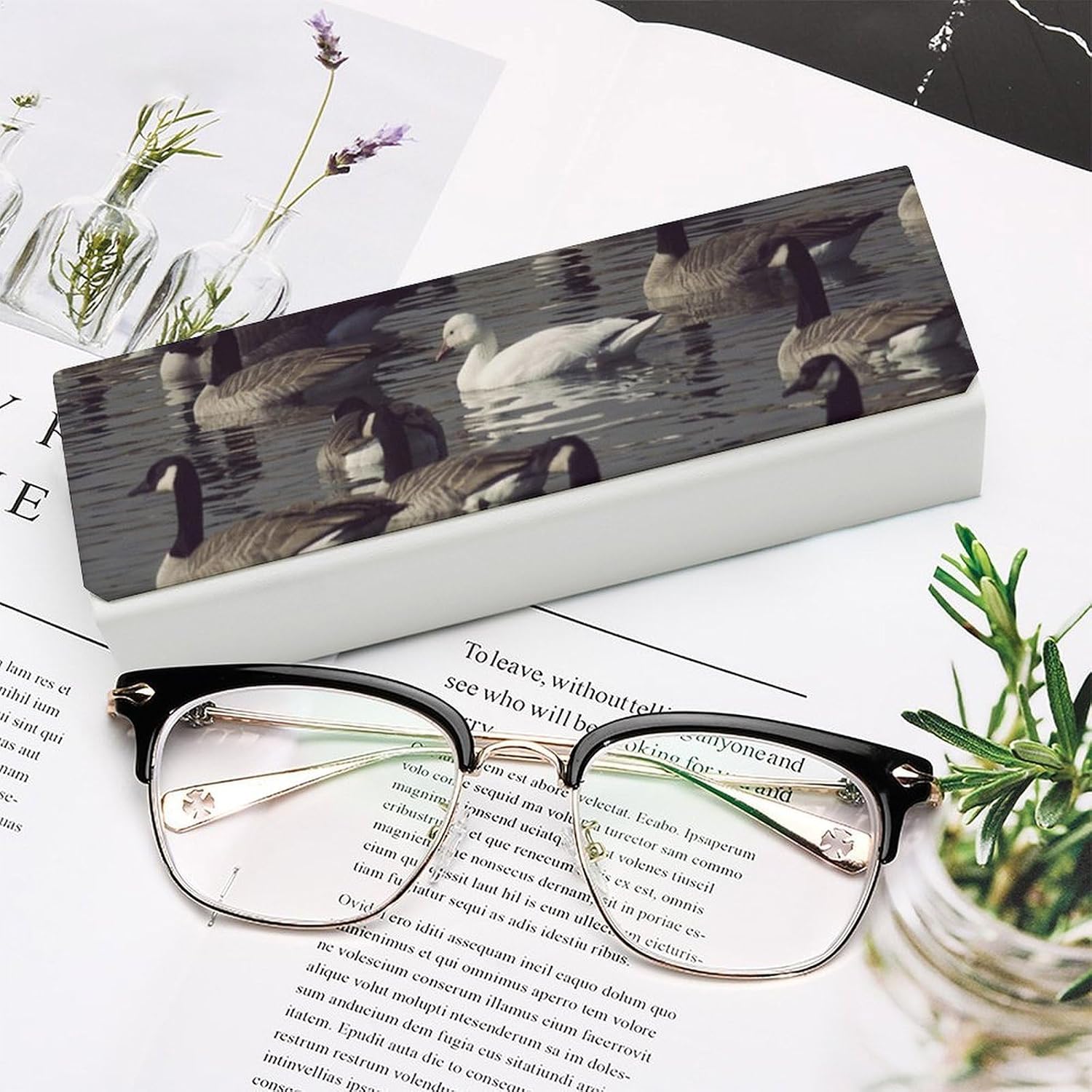 Goose Eyeglass Case, Durable Convenient Spectacle Cases with Cleaning Cloth Leather Eyeglasses Storage Box for Sunglasses Man Women