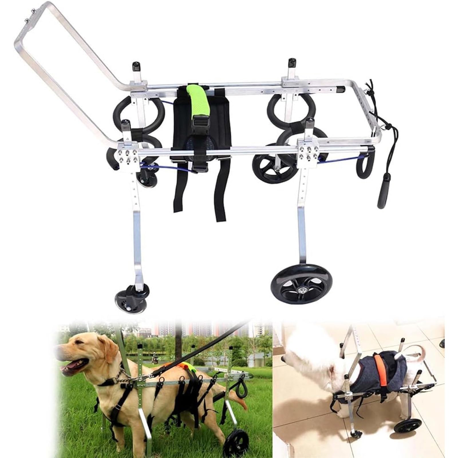 Fauteuil roulant pour chien blessé - Offrez une seconde chance de courir à votre chiot